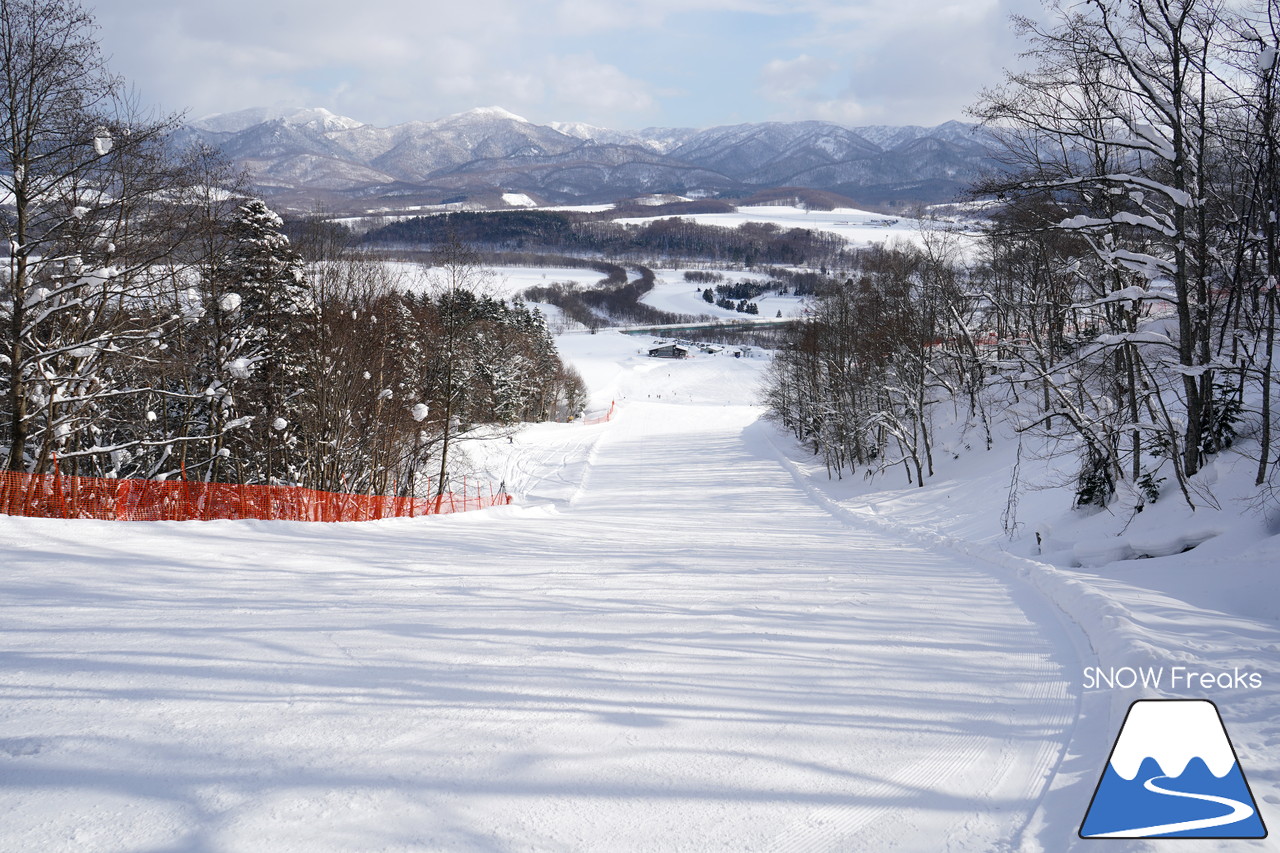 北海道ローカルスキー場巡り 2019～中頓別町営寿スキー場・枝幸町三笠山スキー場・猿払村営スキー場・稚内市こまどりスキー場～